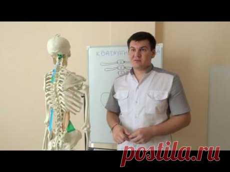 Боль в пояснице. Спазм и слабость квадратной мышцы поясницы.