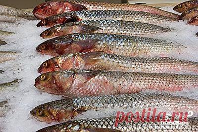 Хе из рыбы - пошаговый кулинарный рецепт на Повар.ру