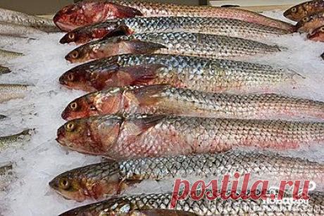 Хе из рыбы - пошаговый кулинарный рецепт на Повар.ру