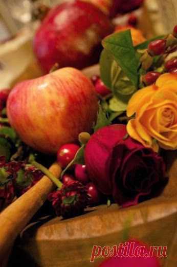 флористика