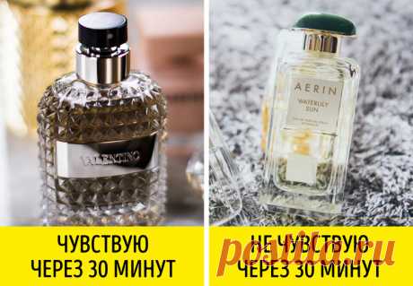 Как за один день понять, что духи вам не подходят, и выбрать идеальный аромат