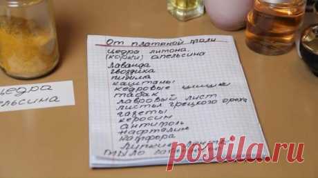 Советы, которые помогут избавиться от моли в шкафу