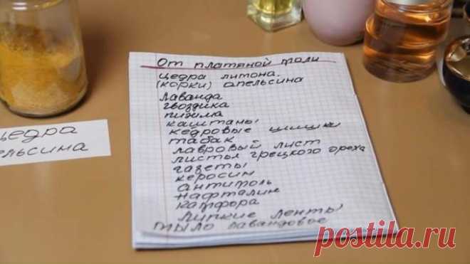 Советы, которые помогут избавиться от моли в шкафу