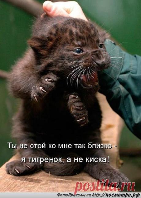 Новости