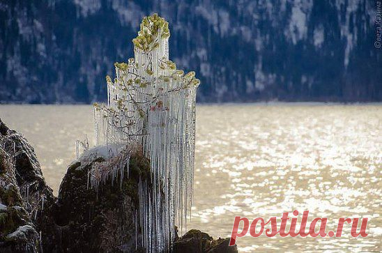 Одноклассники