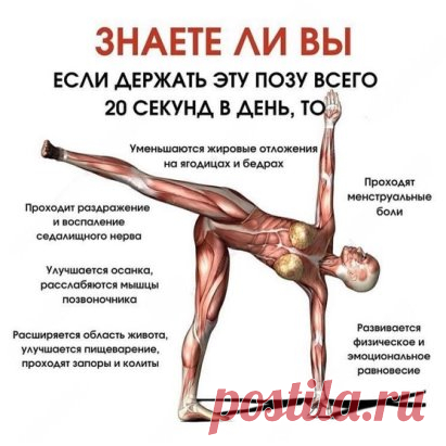 Данное упражнение включено в программу тренировок? Если нет, то обязательно это сделайте