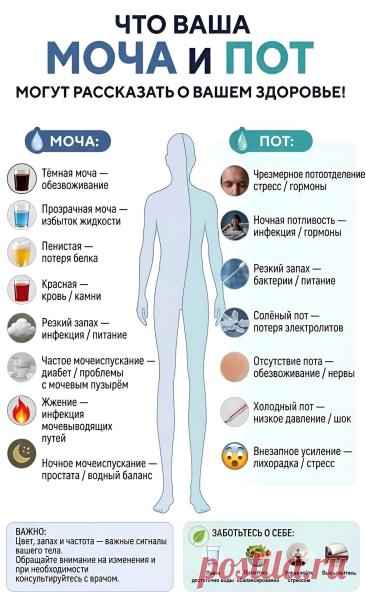Моча и пот расскажут о вашем здоровье
