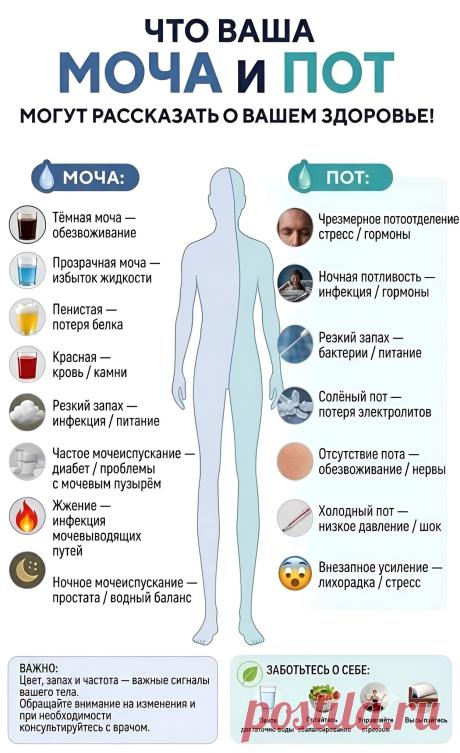 Моча и пот расскажут о вашем здоровье