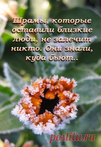 Фразы,Высказывания,Стихи,Цитаты,Видео,Картинки.
ЛЮДМИЛА БУЛЫК