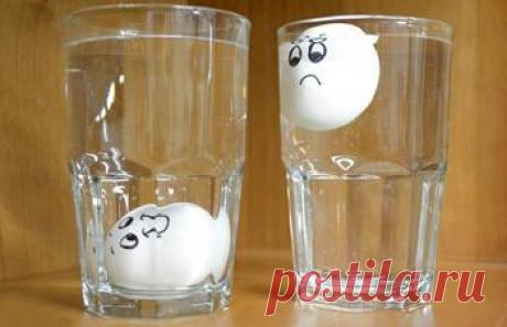 Как проверить качество продуктов: 10 эффективных способов