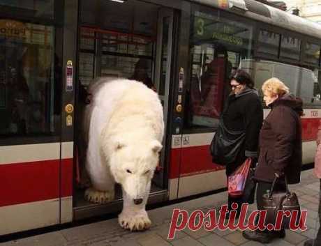 Это нормально- это Россия