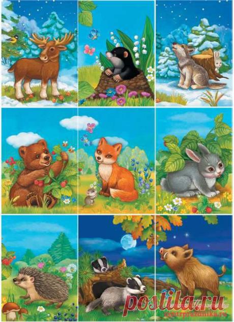 Оформление уголков в детском саду. Фото и картинки