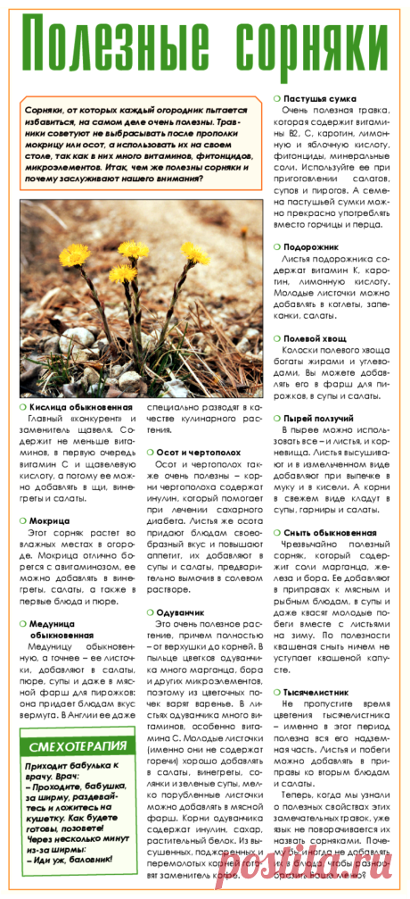 Сорняки в кулинарии
