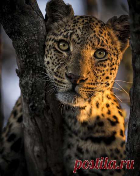 25 самых популярных снимков фотосообщества 500px прошлой недели