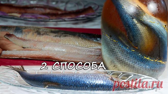 fullsize.jpg (1280×720)