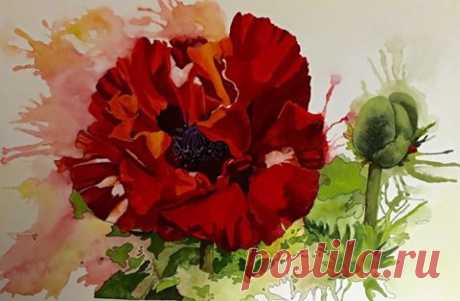 (9) Facebook
