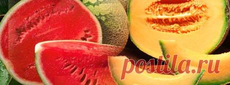 Самый короткий, но необычайно правдивый тест! | pokolenie-x.com
