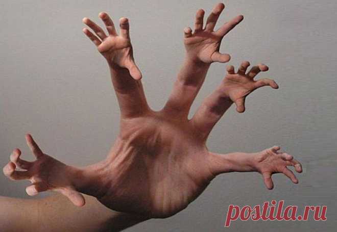 8 историй о невиданной жадности богачей - Журнал МиллиардерЪ | Блоги