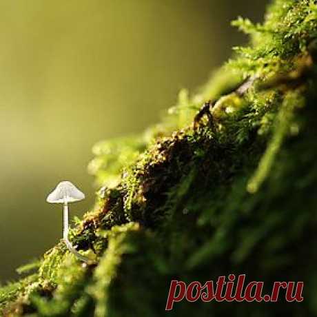 500px / Popular Photos