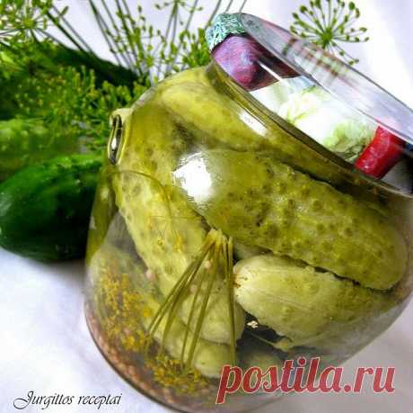 Tobulų marinuotų agurkų receptas plinta internete. Pabandę dėkoja! Saldžiarūgščiai marinuoti agurkai - ☑️ patiekalas, kurį nesunkiai pasigaminsite pagal šį receptą.🍽️ Išbandyk šį receptą jau dabar!