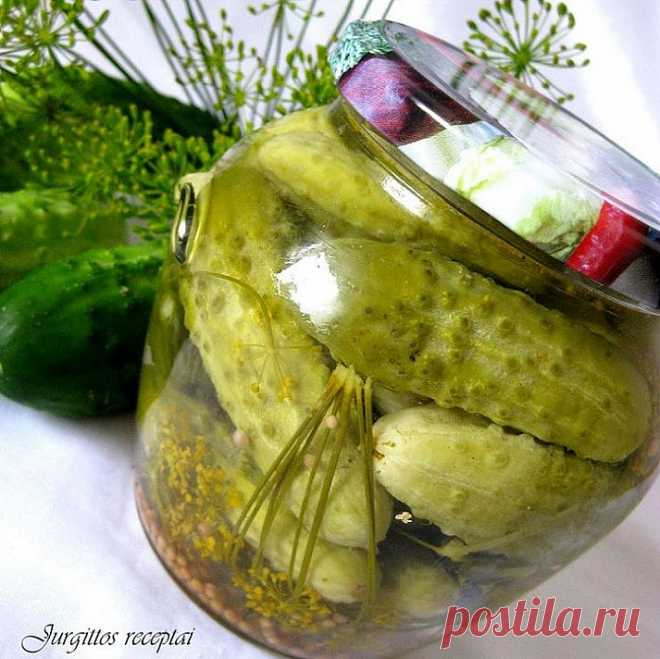 Tobulų marinuotų agurkų receptas plinta internete. Pabandę dėkoja! Saldžiarūgščiai marinuoti agurkai - ☑️ patiekalas, kurį nesunkiai pasigaminsite pagal šį receptą.🍽️ Išbandyk šį receptą jau dabar!