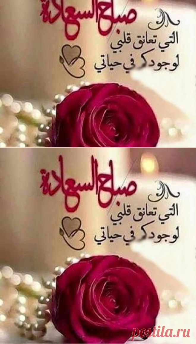 مسجات صباح الخير دعاء بالصور - سيدات مصر