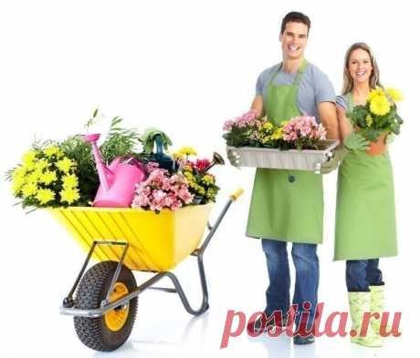 Простые советы для садоводов 

1. Соседство картофеля и яблони не приведет ни к чему хорошему. Это поспособствует накоплению токсинов в почве, от чего в первую очередь пострадают яблони.

2. Также не желательно соседство груши и яблони с розой, пихтой, сиренью, белой акацией и барбарисом, поскольку эти растения могут подавлять рост плодовых деревьев.

3. Вреден растениям частый и поверхностный полив. Влажная поверхность земли предотвращает поступление кислорода к корневой ...