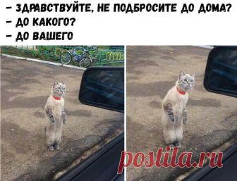 Мой Мир@Mail.Ru