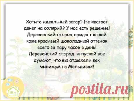 #цитаты