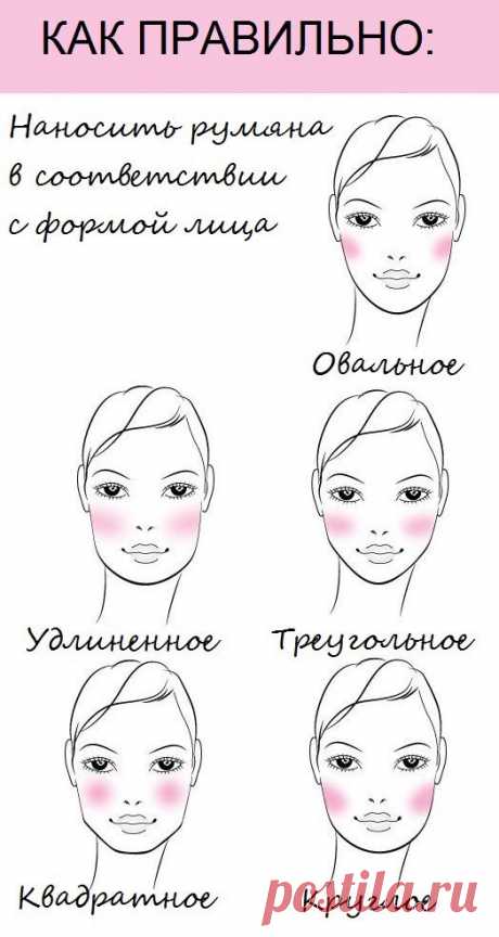 Полезные шпаргалки на каждый день для истинных леди
