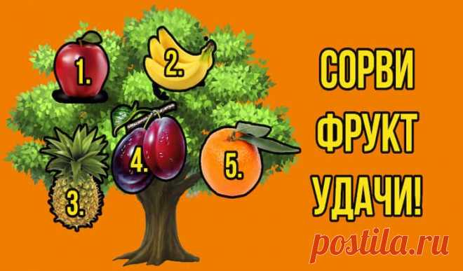 Сорвите фрукт удачи — Калейдоскоп чудес