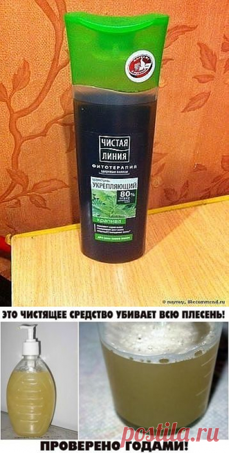 СЕКРЕТЫ ХОЗЯЙКИ
