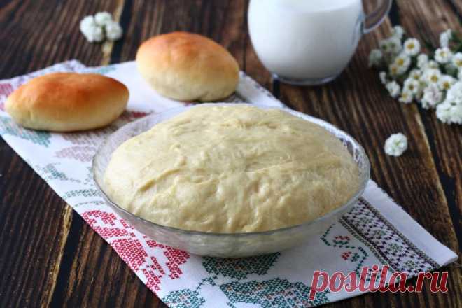 Мягкое дрожжевое тесто для пирожков в духовке рецепт с фото - 1000.menu