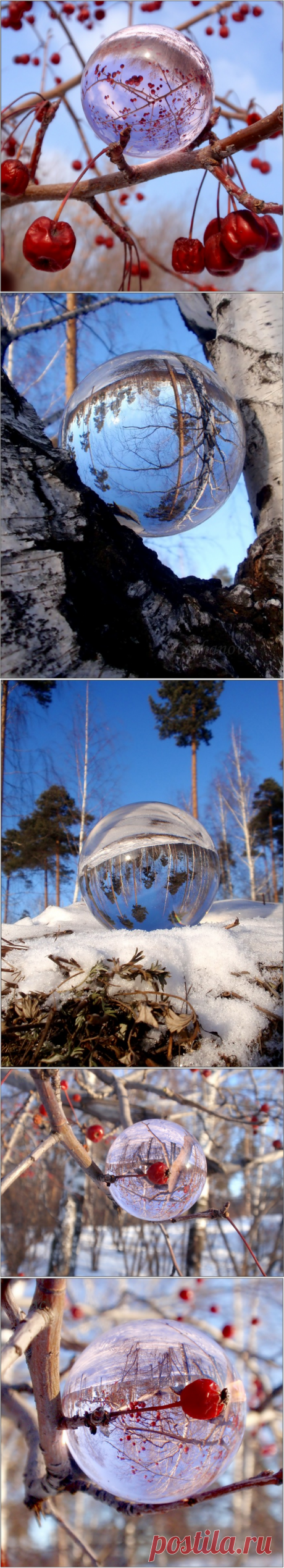 Яндекс.Фотки