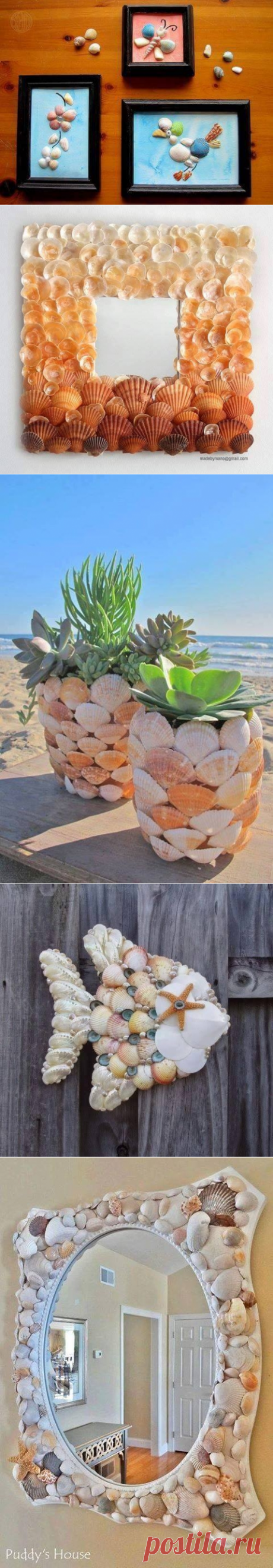 Идеи использования ракушек