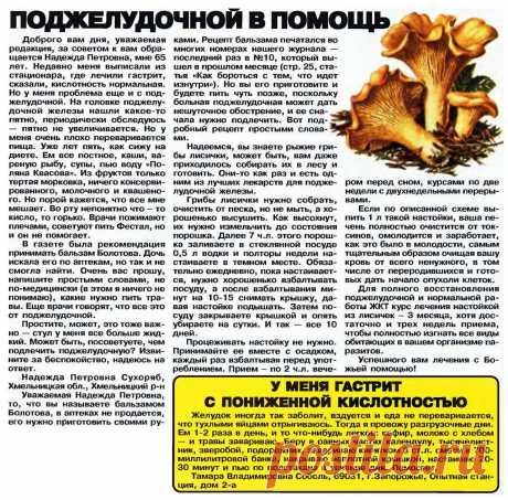 Лисички поджелудочной в помощь