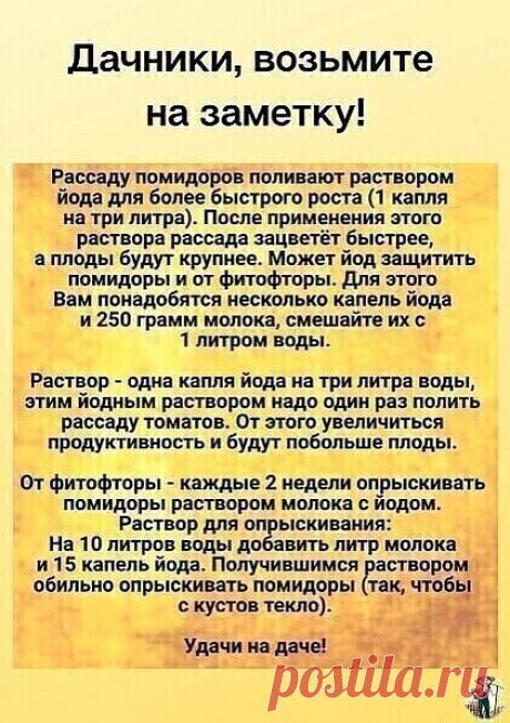 На заметку дачникам.