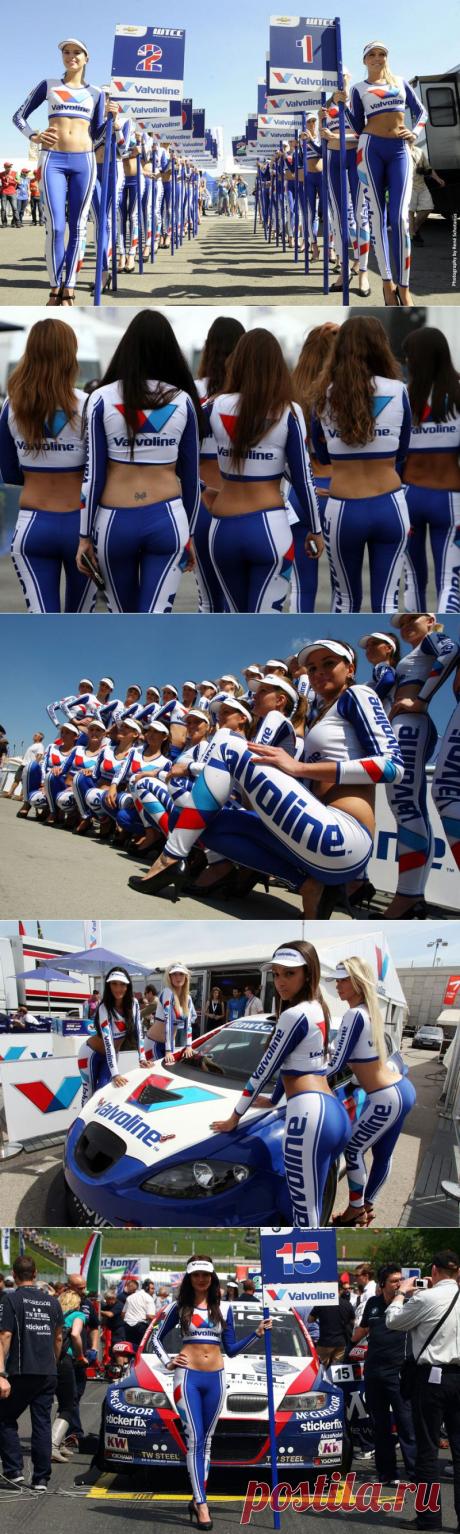 Девушки Valvoline : НОВОСТИ В ФОТОГРАФИЯХ