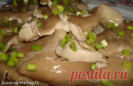 МАРИНУЕМ ВЕШЕНКИ С ЛЮБОВЬЮ!