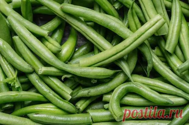 Польза замороженной стручковой фасоли и интересные рецепты - ВК Пресс - Медиаплатформа МирТесен