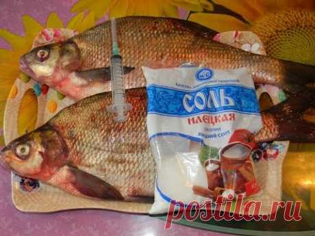 Засолка крупной речной рыбы  .  Мой рецепт !