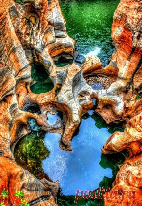 Krueger National Park S Africa | Автомир