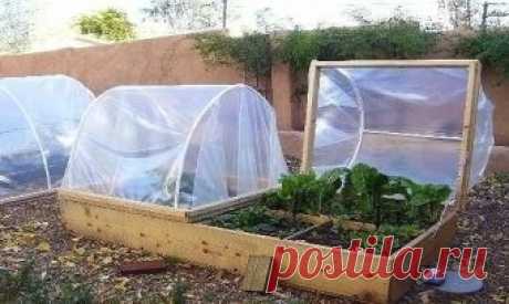 идеи для дачи..............