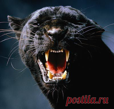 Обряд на усмирение гневных сердец