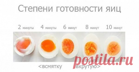 яйца
