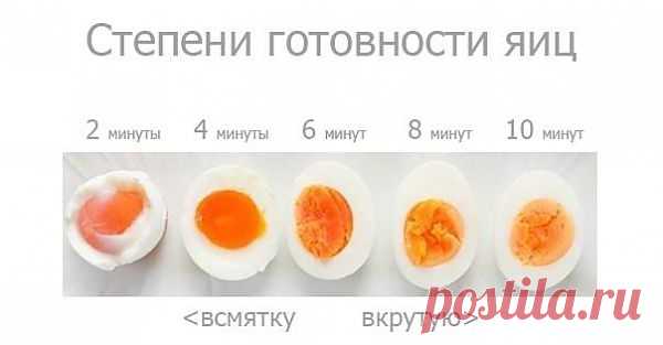 яйца