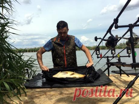 Родпод или стойки? Что удобнее для карповых рыбалок