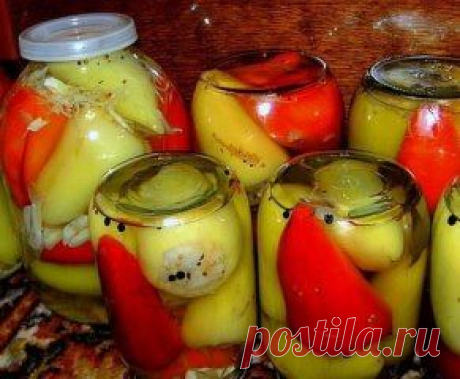 Фаршированный перец – заготавливаем впрок