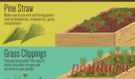 Find Fun Art Projects to Do at Home and Arts and Crafts Ideas | Practik Ideas