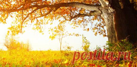 Музыка и звуки для лучшего засыпания: коллекция сайтов для вас — Сияние Жизни